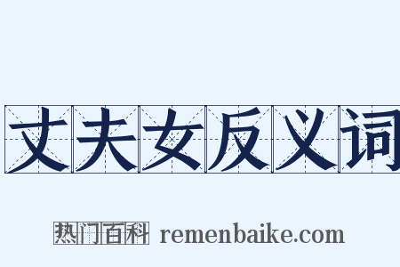 丈夫女反义词是什么意思的图片